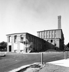 DB201906 D.jpg