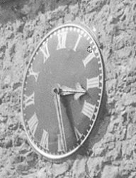 Neg 73 at 1200 (2).jpg