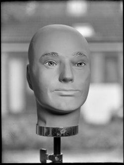 20240907_FP4_Glass_ISO5_Ross-reflex_Zeiss_11.5inch.jpg