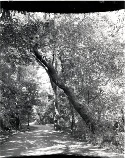 Concentric.Issues.Reel.jpg.24.08.01.45FA.150mm.Foma400.IS0200.XTOL.720.90F.V850.Docu_04.jpg