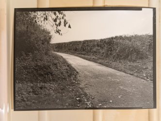 PXL_20251113_083459166.jpg