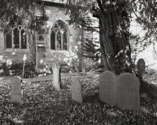 grave-markers-under-shadow-of-yew-st-brynachs-nevern-pembrokeshaire-2k.jpg