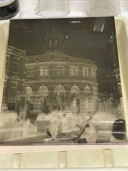 IMG_7793.jpeg
